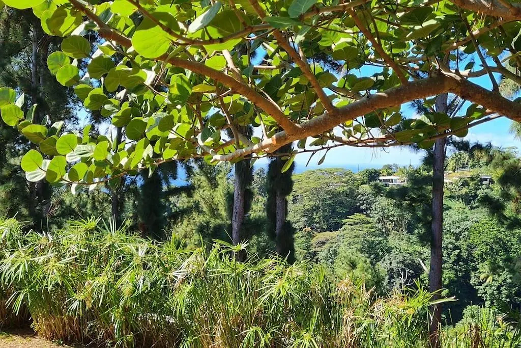 Enjoy Camanukea Lodge Mahina